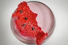 Coccinella